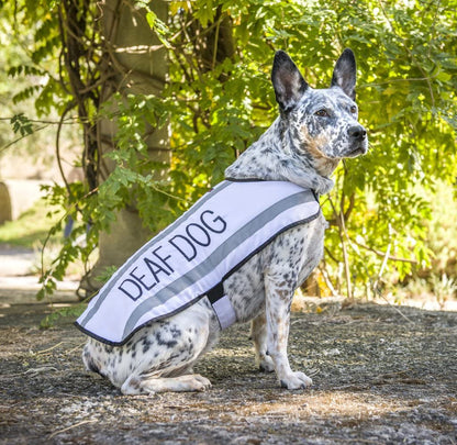 Deaf Dog White Warm Dog Coats S M M L L XL Waterproof Reflective Fleece Lined Prevents Accidents by Warning Others of Your Dog in Advance (M-L Back 17" (43Cm)